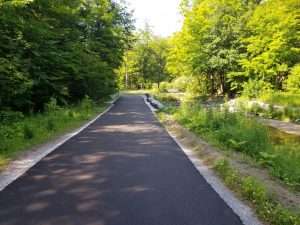 Newly paved trail within Wilket Creek Park. Click to enlarge.
