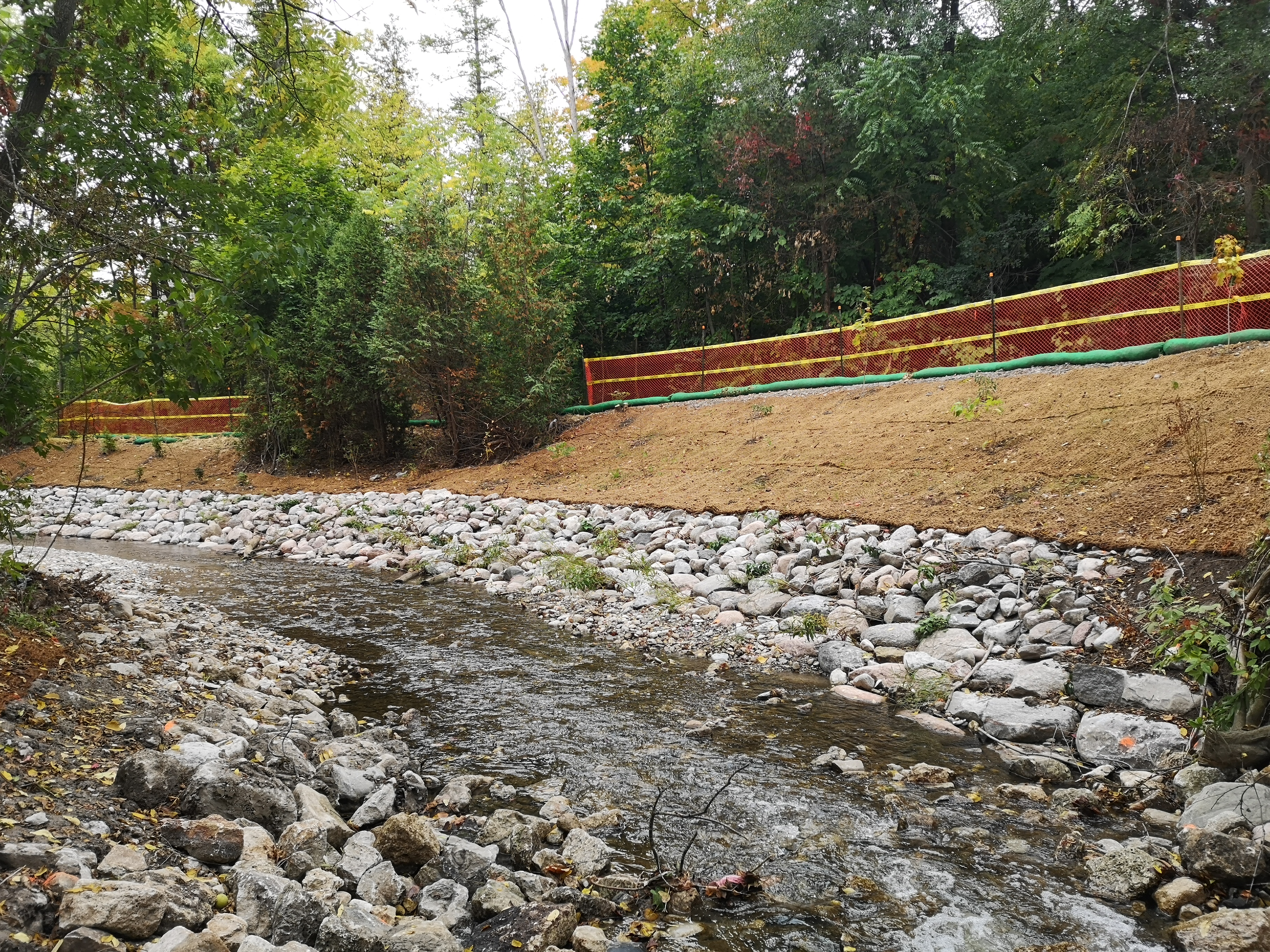 completed vegetated revetment at site CC