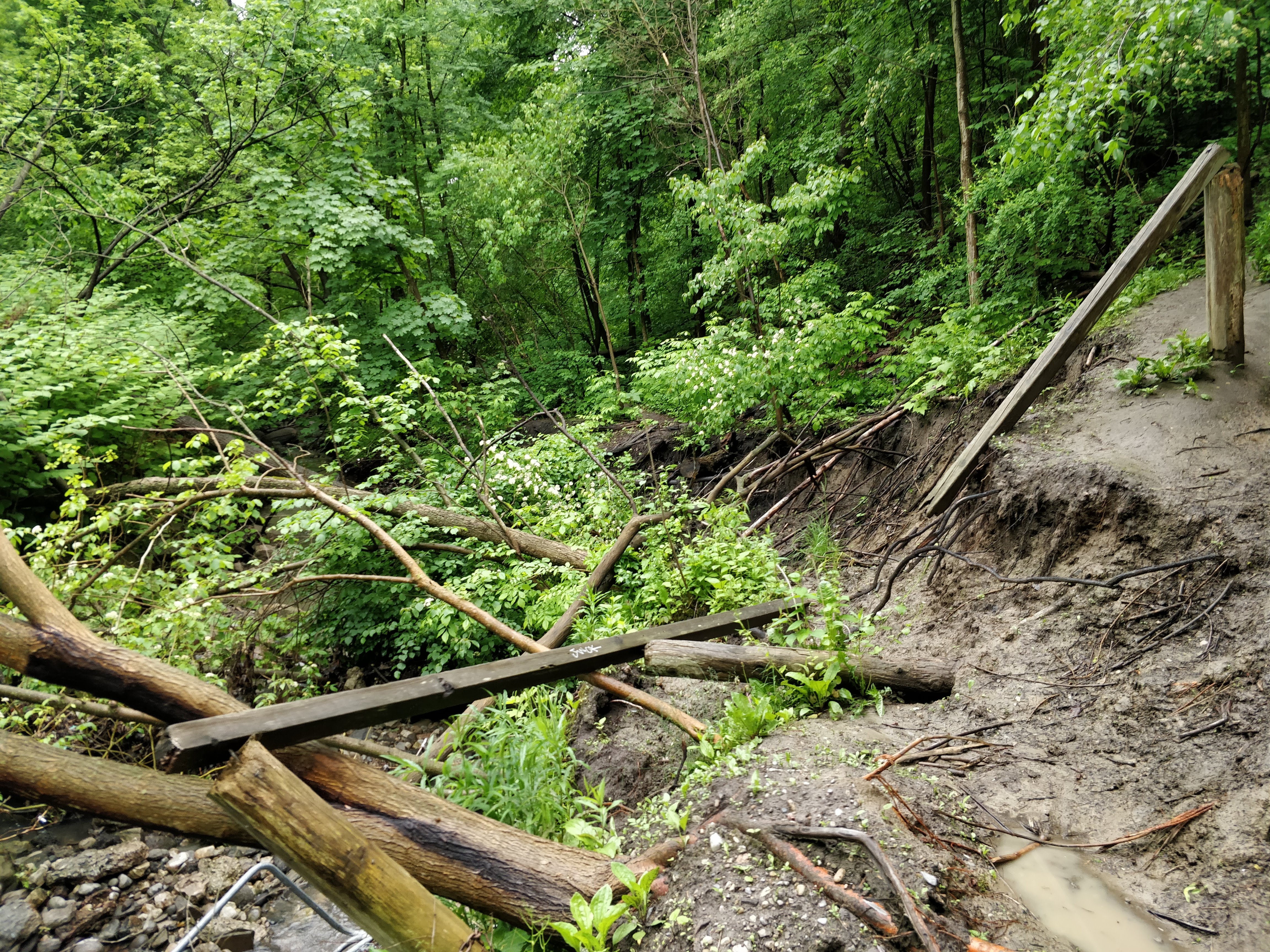 Elevated creek flows through the outflanked channel have resulted in significant erosion at the toe of the slope. Source: TRCA, 2019