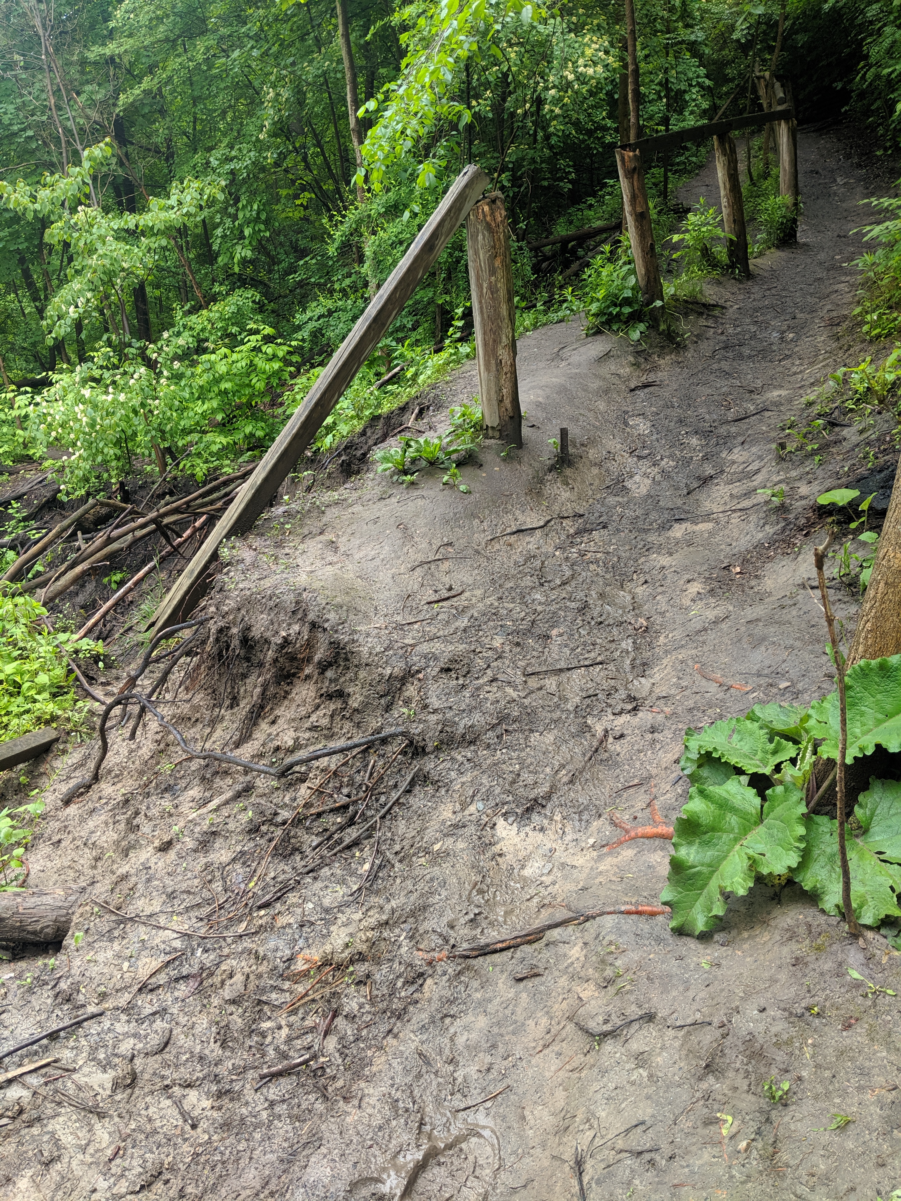 Toe erosion along the slope next to the outflanked channel has impacted a pedestrian trail and resulted in a public safety concern. Source: TRCA, 2019