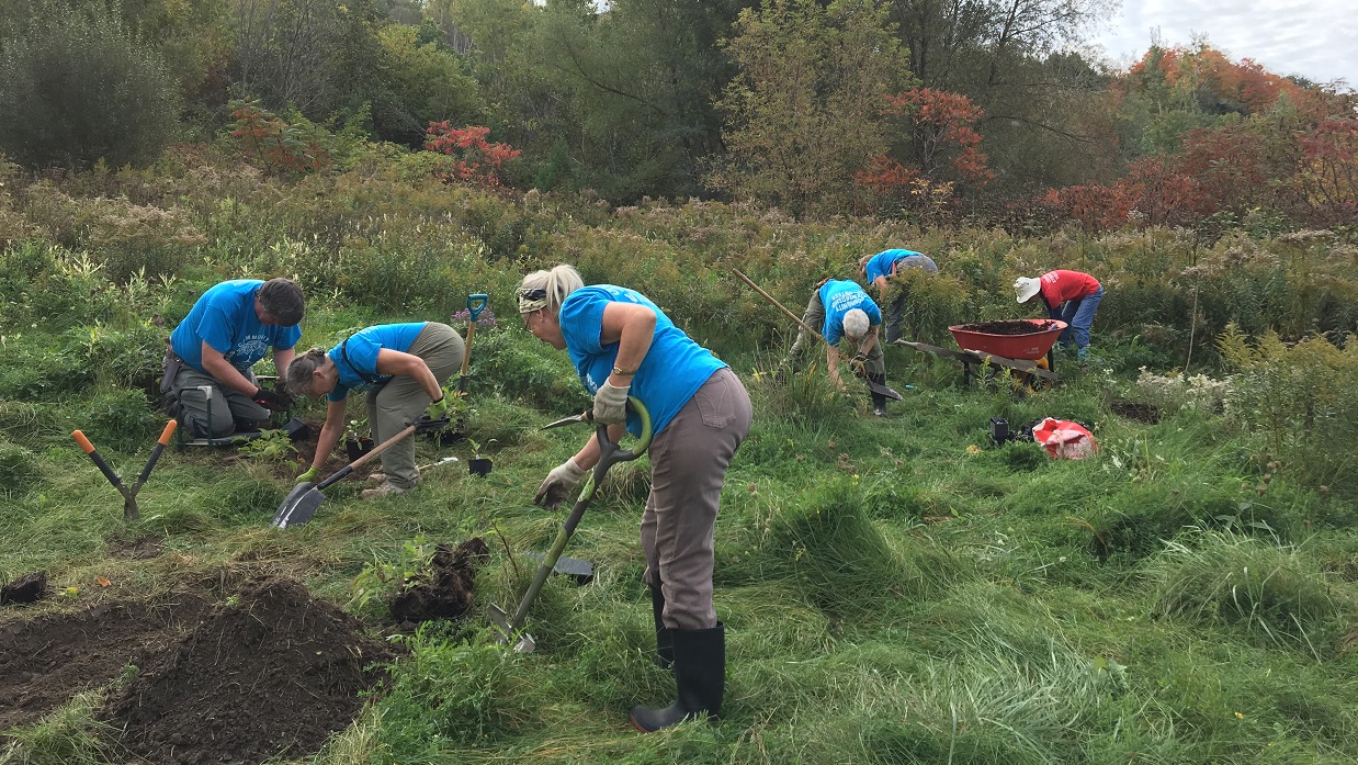 volunteers at East Don Valley stewardship event