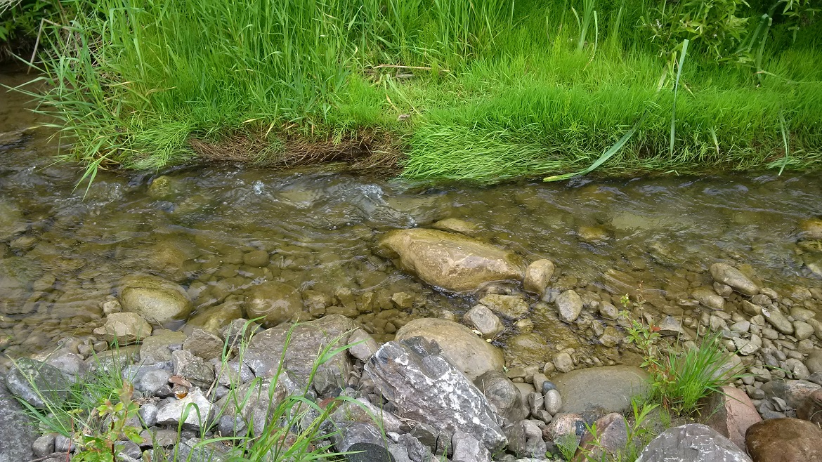 shallow stream