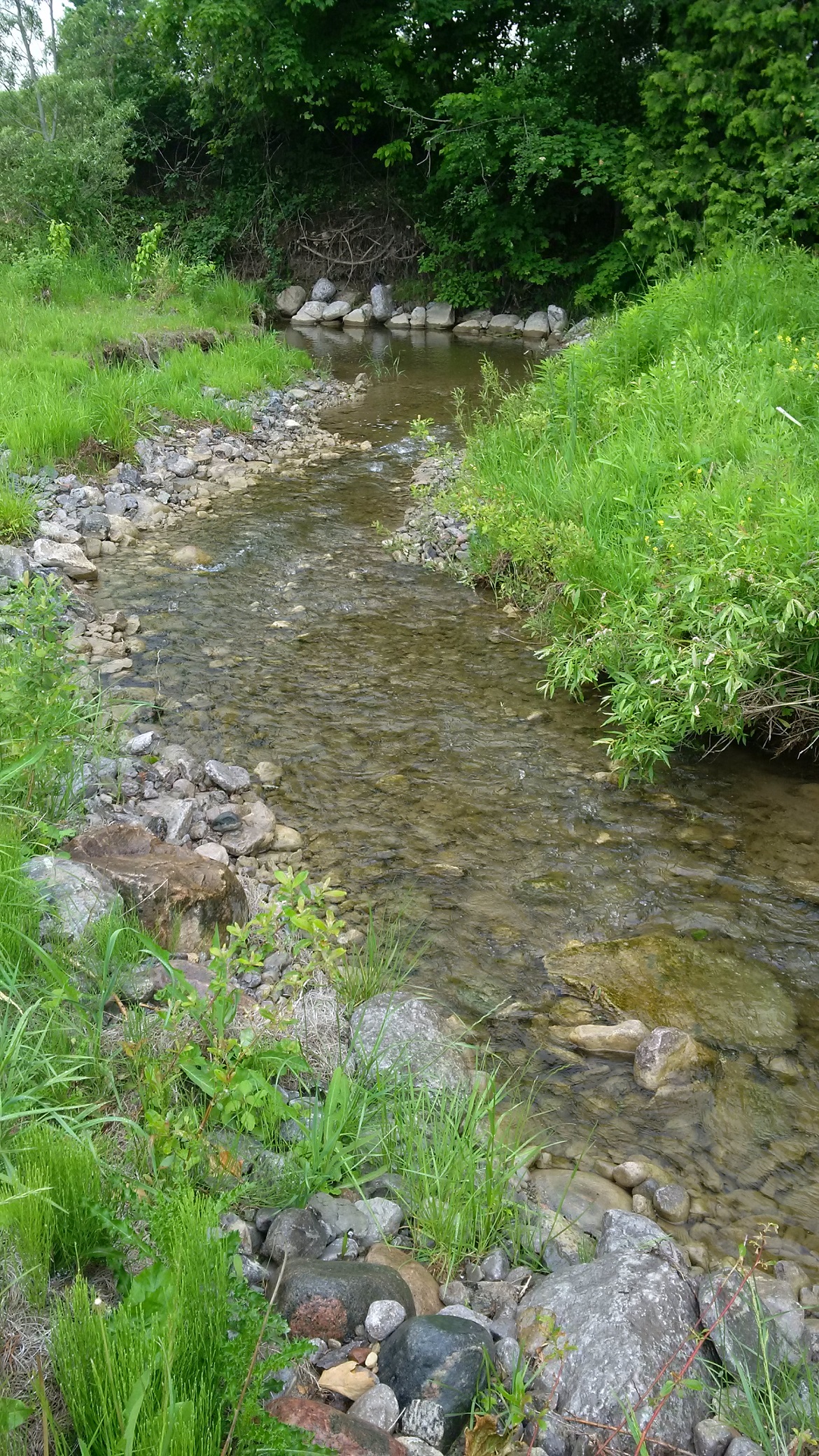 Carruthers Creek