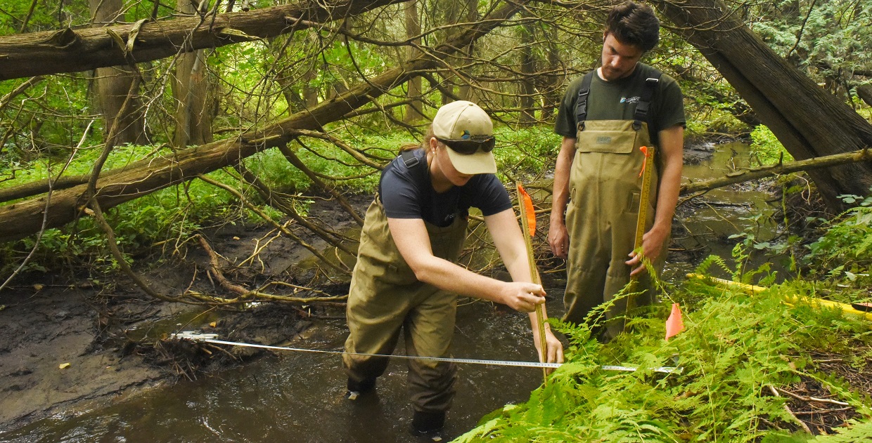 TRCA staff conduct stream monitoring research in the field