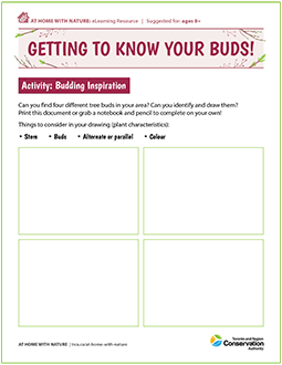 cover page of Know Your Buds e-learning worksheet