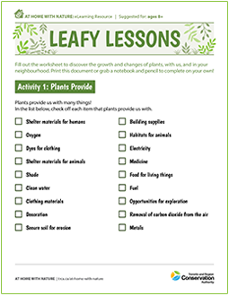 cover page of Leafy Lessons e-learning worksheet