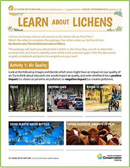 cover page of lichens e-learning worksheet