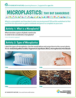 cover page of microplastics e-learning worksheet