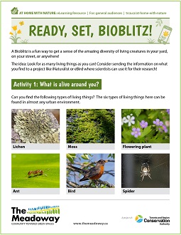 cover page of bioblitz e-learning resource