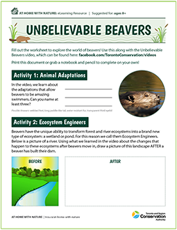 cover page of Unbelievable Beavers e-learning resource