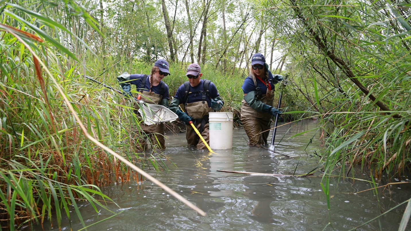 new Canadians participating in Newcomer Youth Green Economy Project conduct aquatic wildlife monitoring in local stream