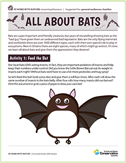 cover page of TRCA All About Bats e-learning resource