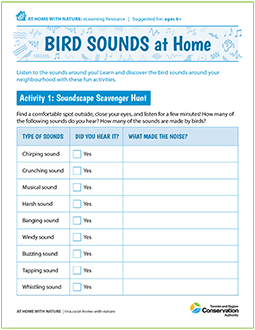 cover page of Bird Sounds e-learning resource