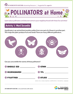 cover page of TRCA pollinators at home e-learning worksheet