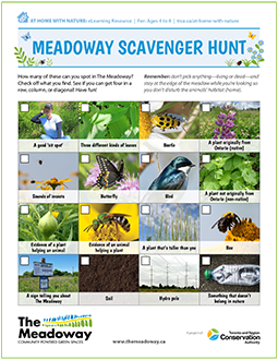 front page of TRCA Meadoway Scavenger Hunt e-learning resource