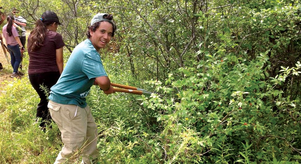 male high school student pruning weeds as part of Conservation Youth Corps at-home project