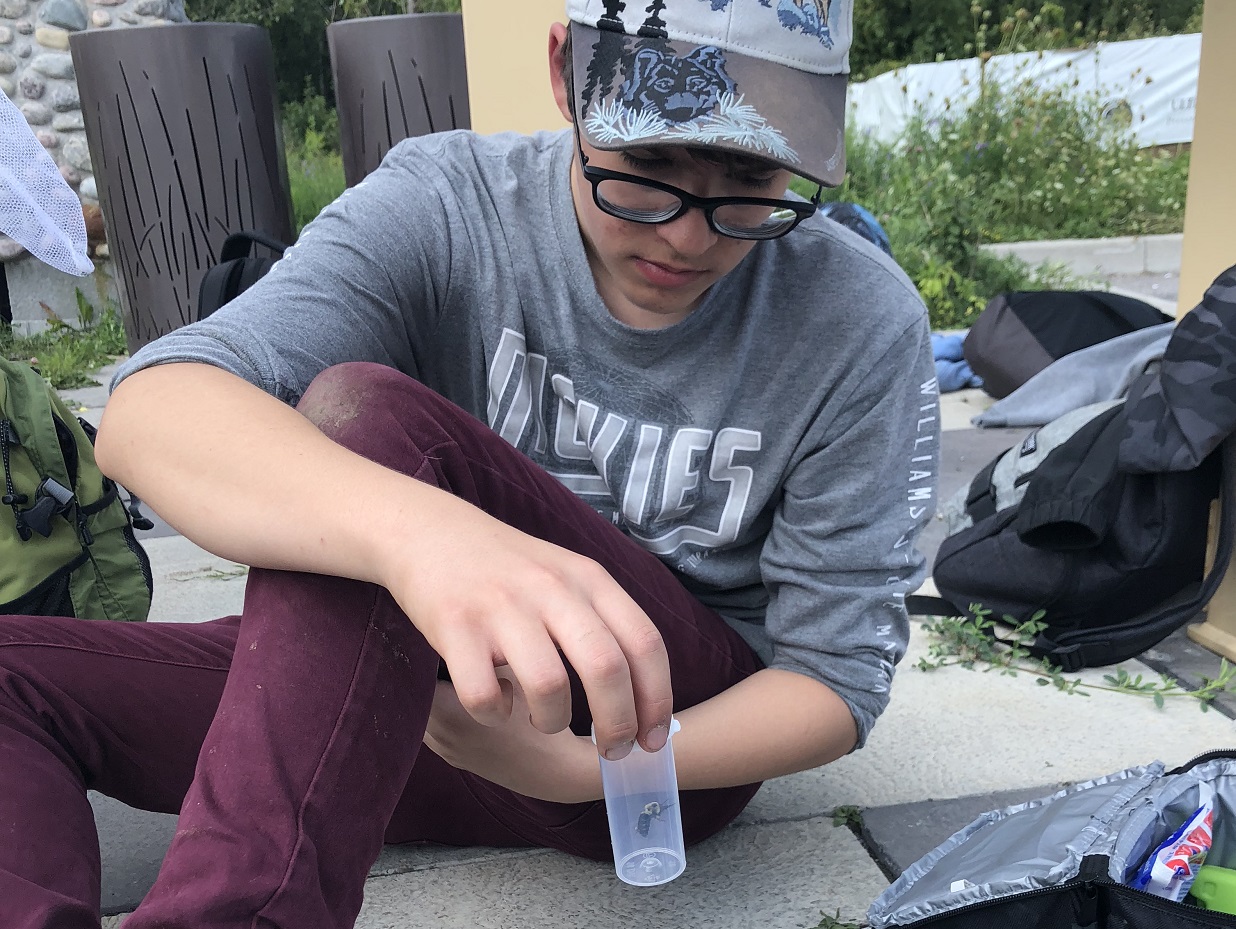 male high school student collects data on local insect species as part of Conservation Youth Corps citizen science project