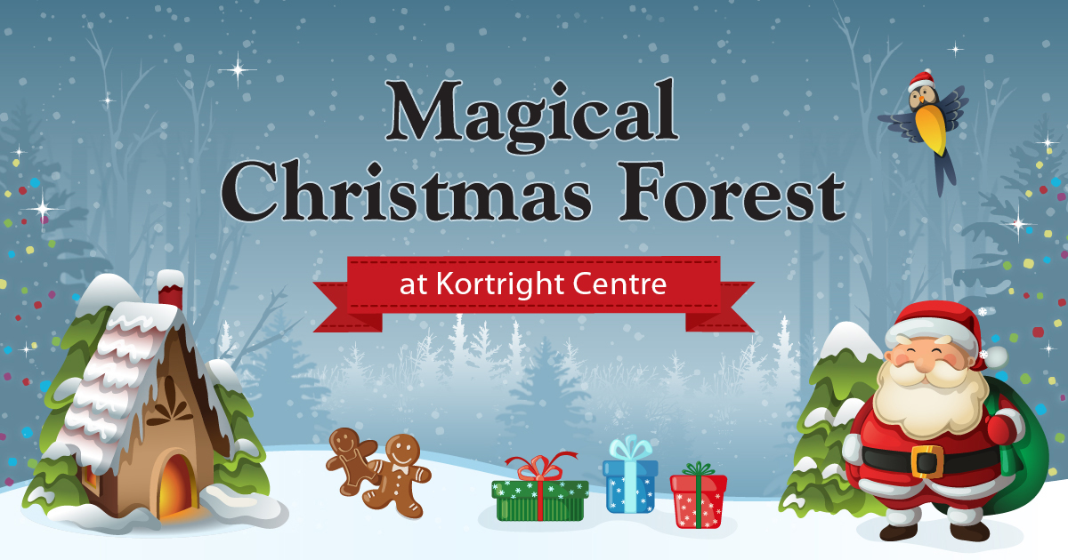 Magical Christmas Forest at Kortright