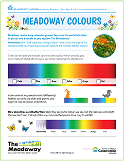 front page of Meadoway Colours At Home with Nature e-learning resource