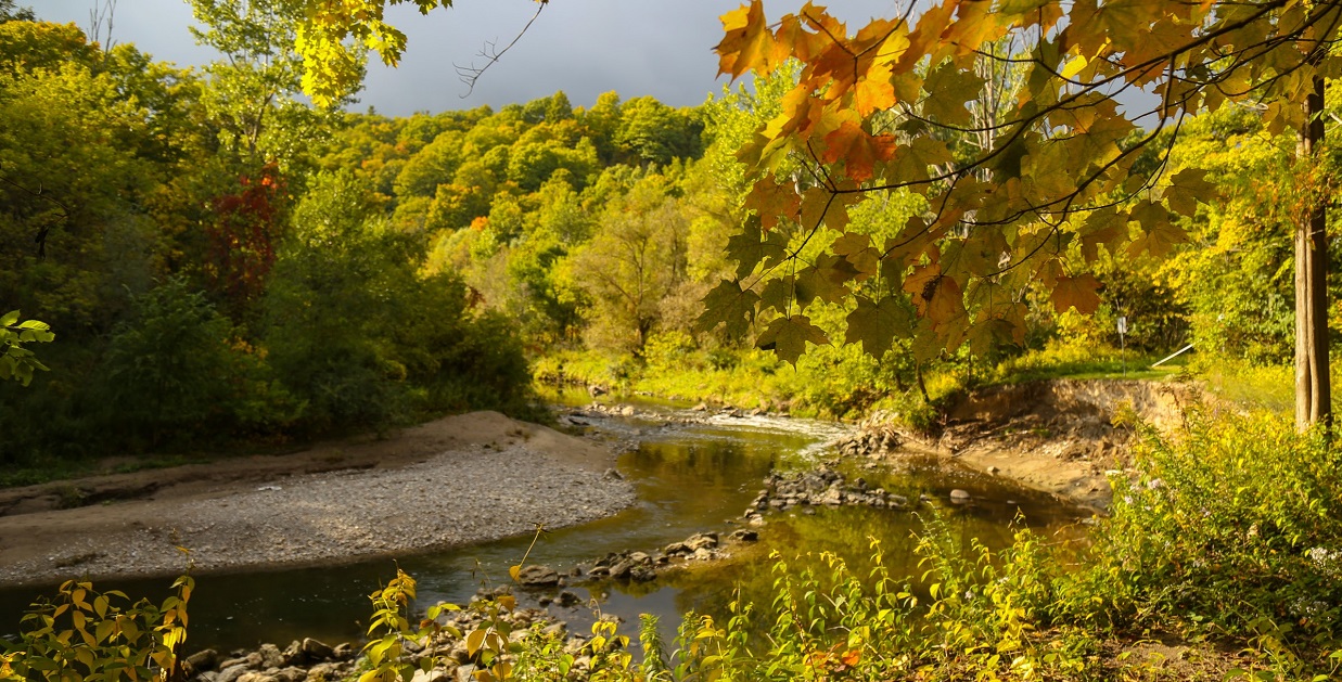 Highland Creek at Morningside Park in Autumn