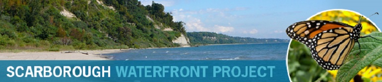 Scarborough Waterfront Project Newsletter
