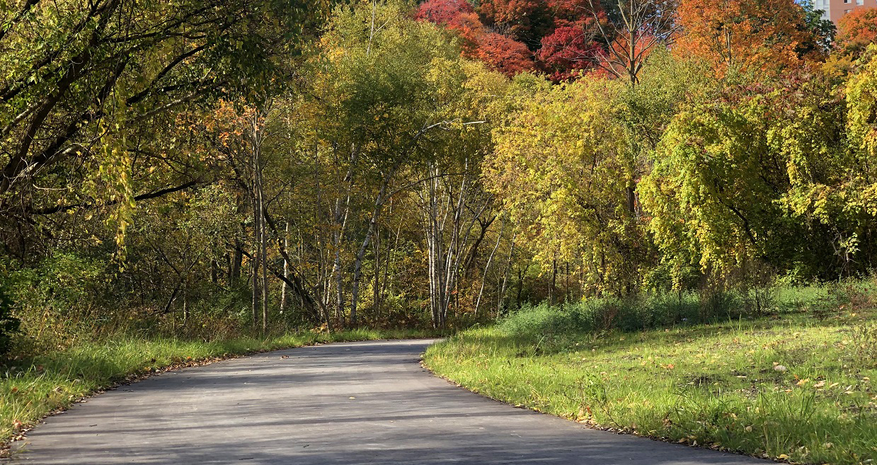 trees displaying fall colours line a portion of the completed East Don Trail phase two