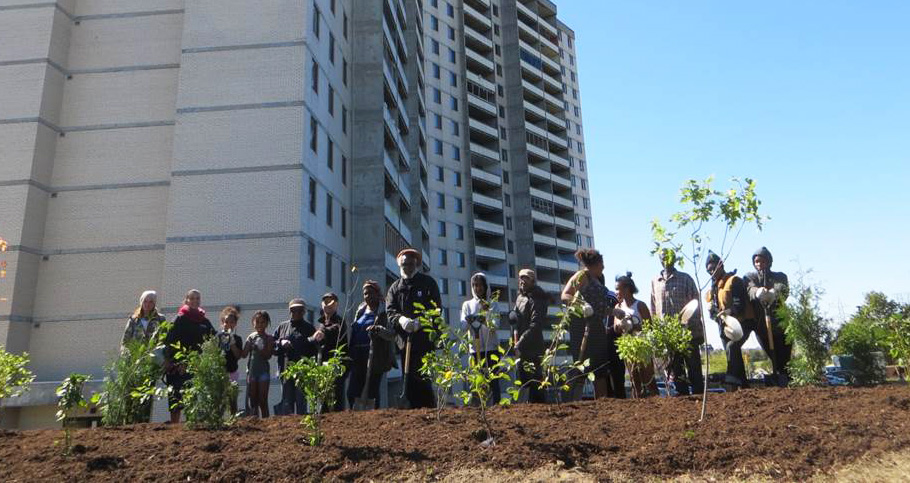 San Romanoway Towers residents take part in Black Creek SNAP community planting event