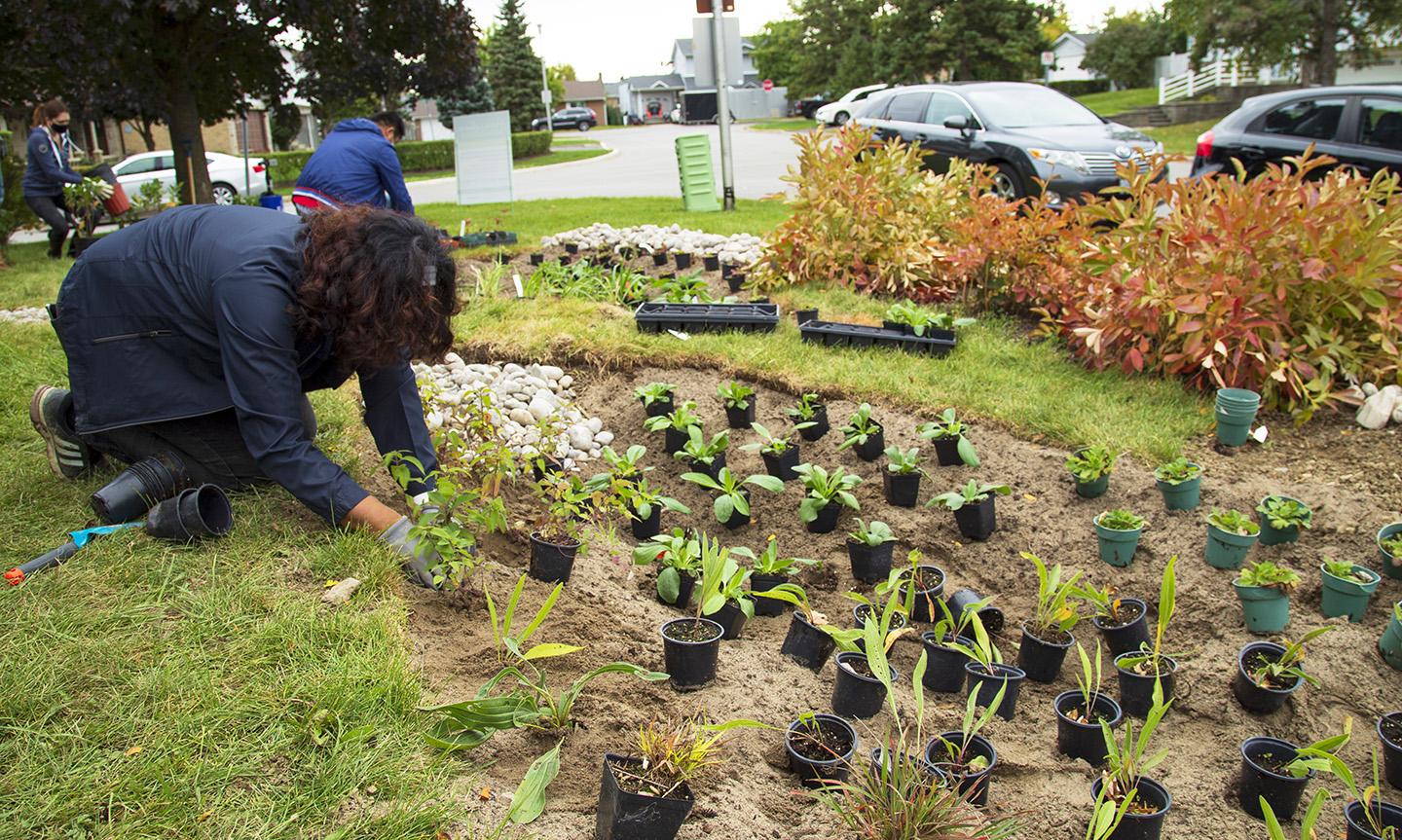 West Bolton SNAP Green Home Makeover homeowners and neighbours plant a rain garden
