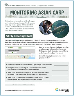 TRCA At Home with Nature Monitoring Asian Carp e-learning worksheet